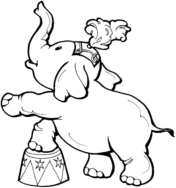 Elefante #3780