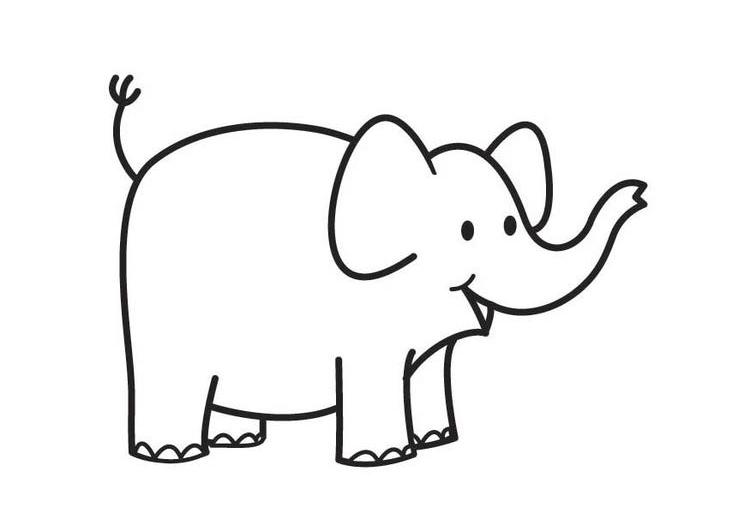 Elefante #3782