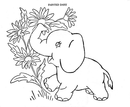 Elefante #3784