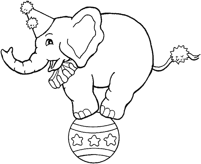 Elefante #3789