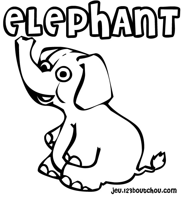Elefante #3792