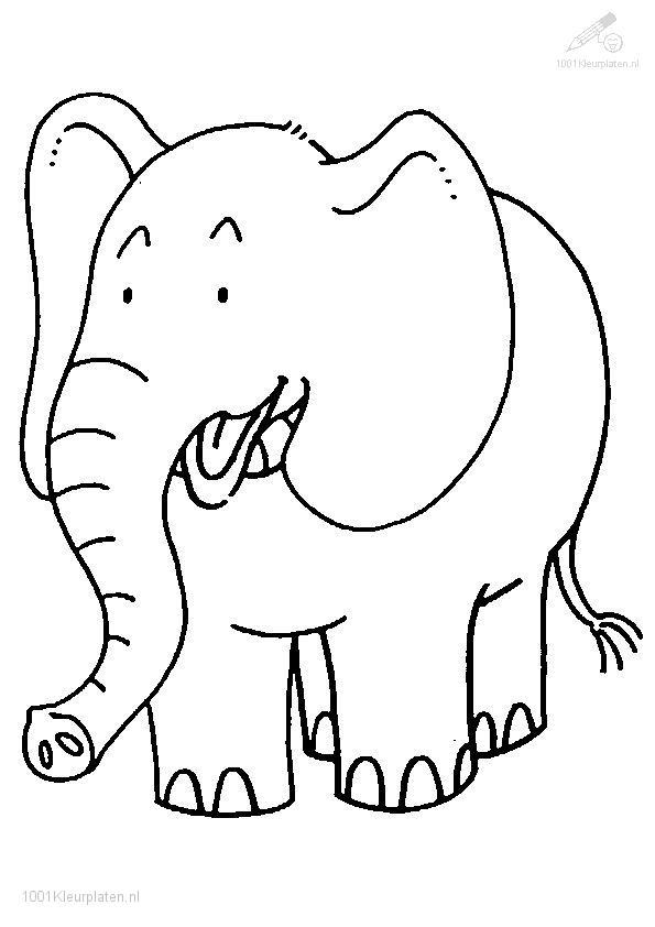 Elefante #3793