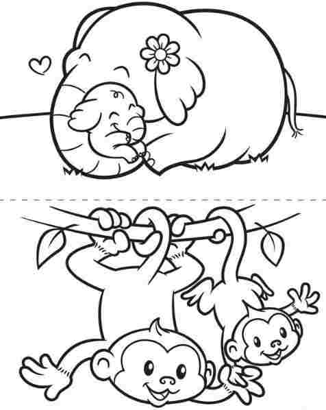 Elefante #3794