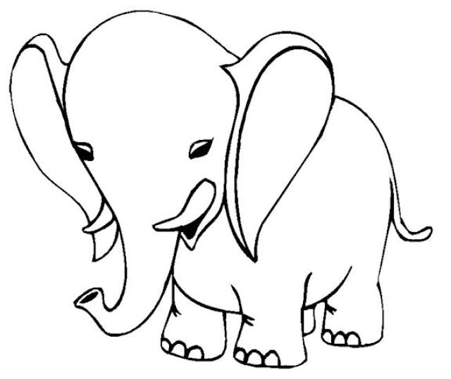 Elefante #3795