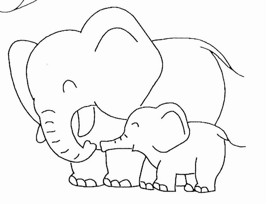 Elefante #3796