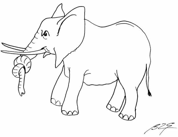Elefante #3797