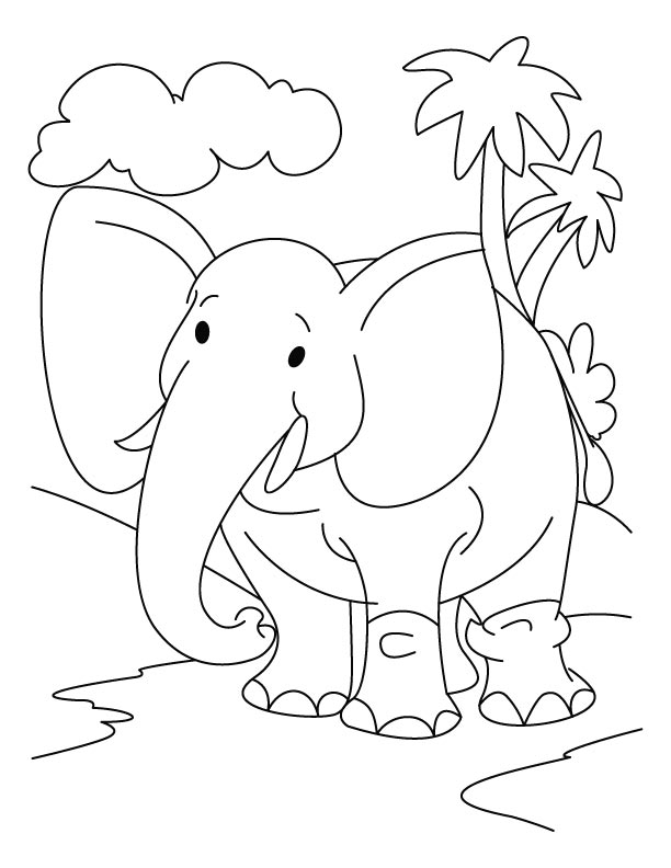 Elefante #3799