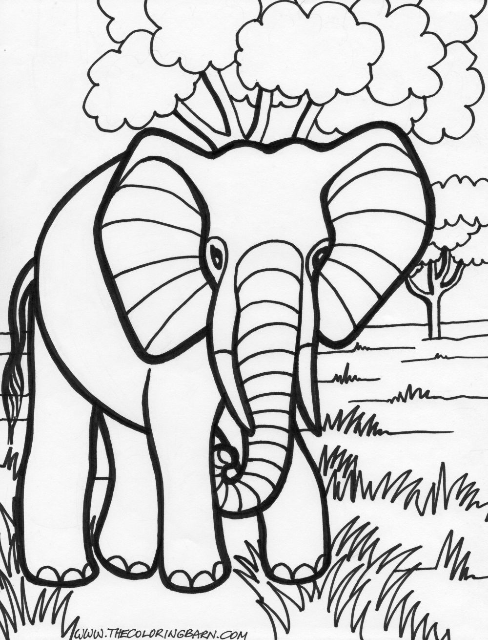 Elefante #3802