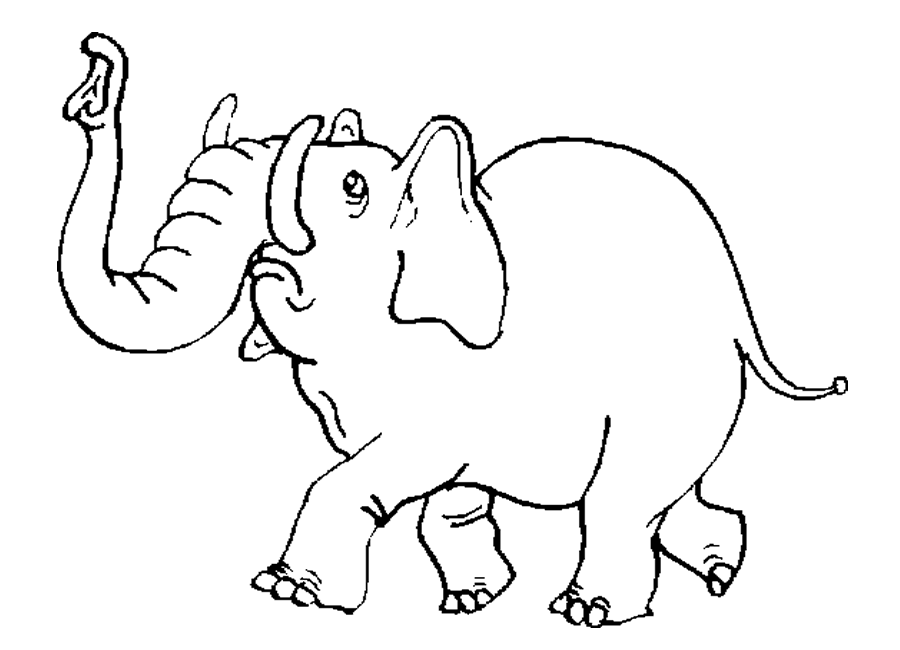 Elefante #3805