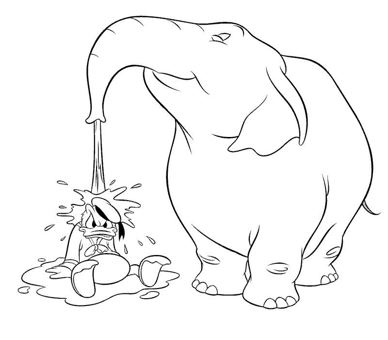 Elefante #3810