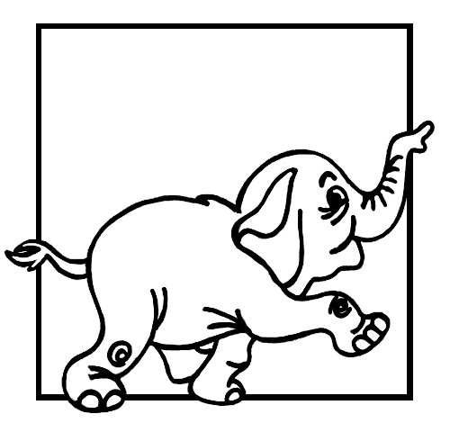 Elefante #3815