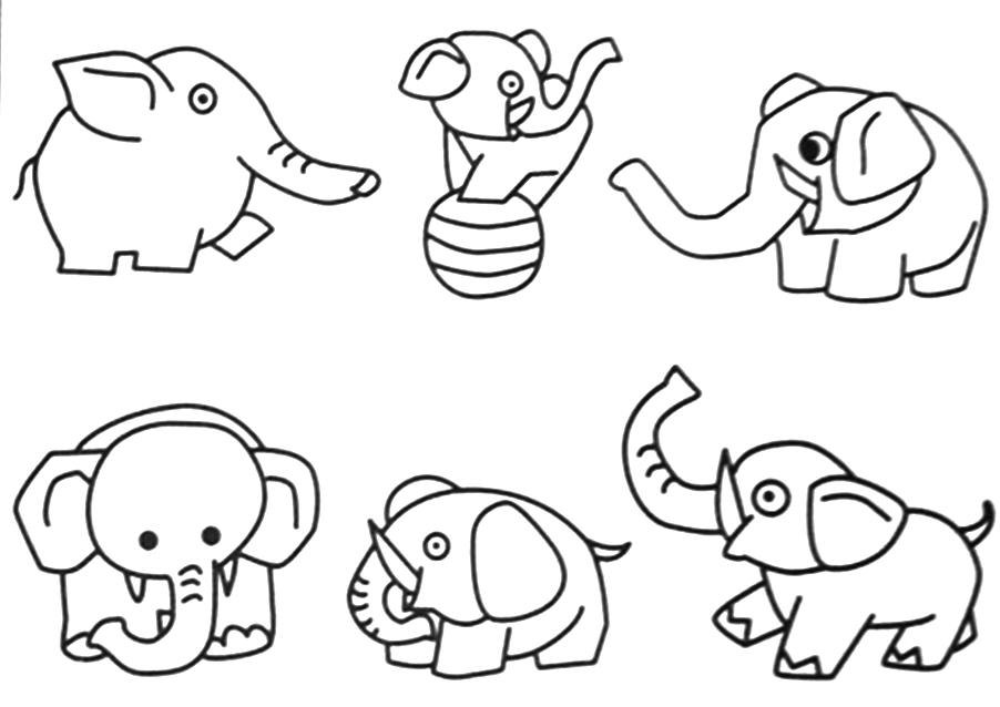 Elefante #3817