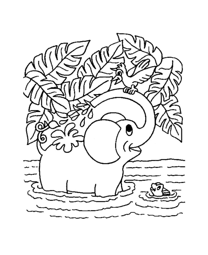 Elefante #3818