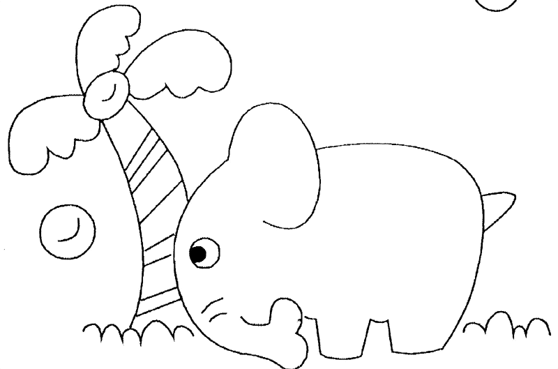 Elefante #3821