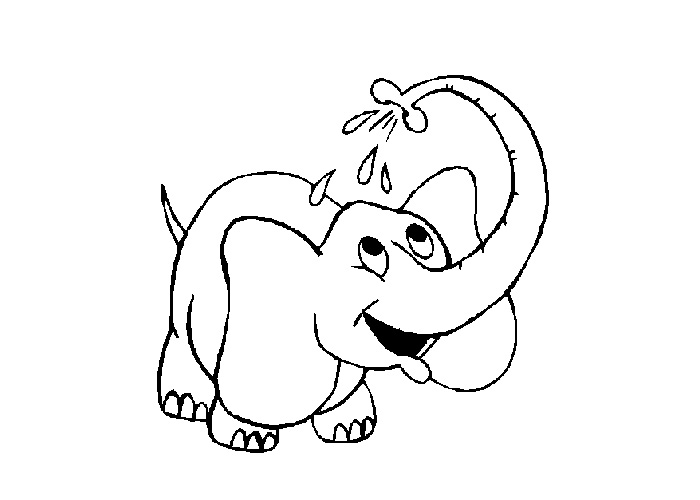 Elefante #3822