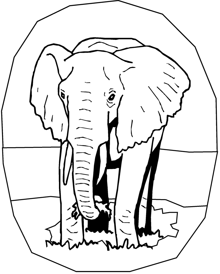Elefante #3841