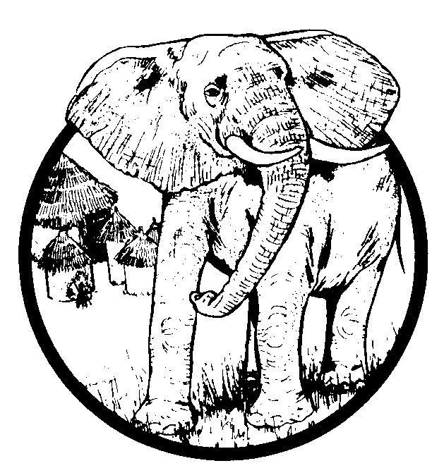 Elefante #3842