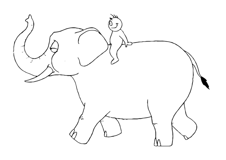 Elefante #3846