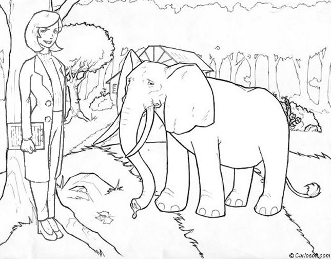 Elefante #3860
