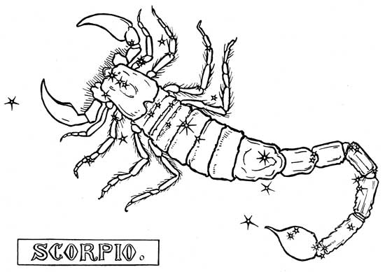 Escorpión #3959