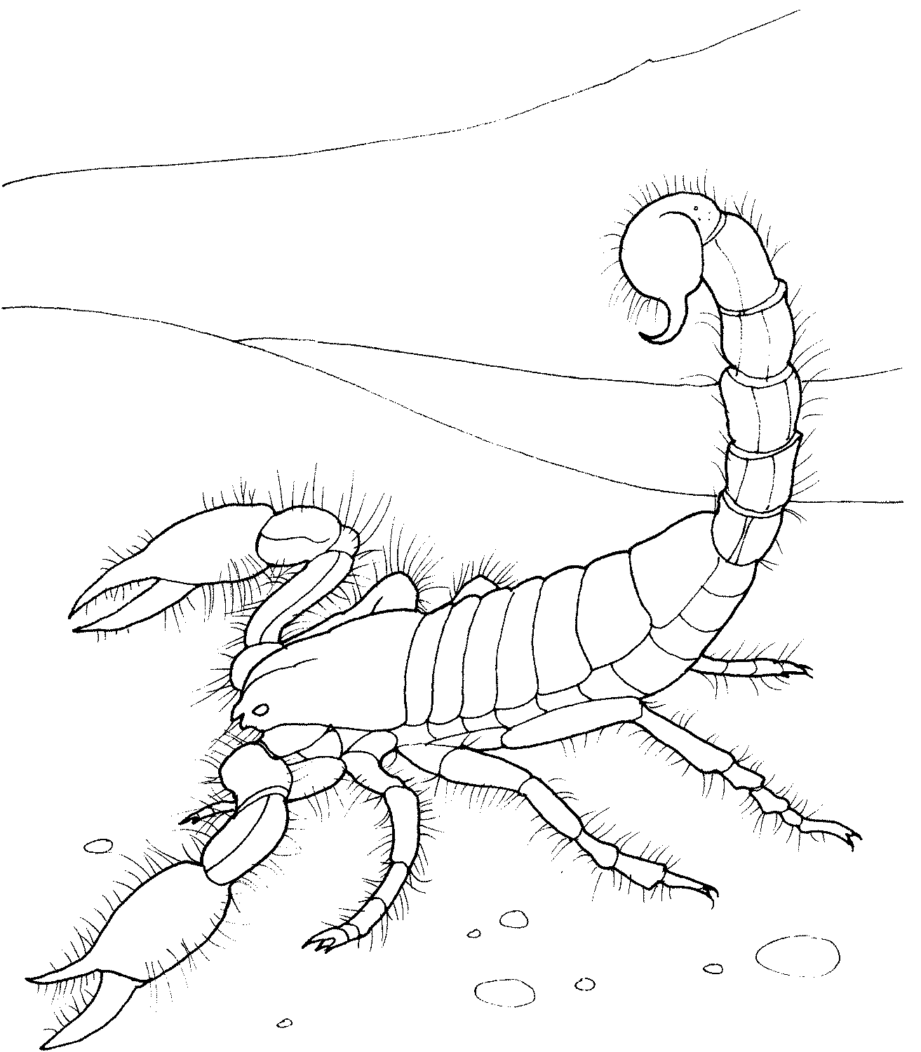 Escorpión #3965