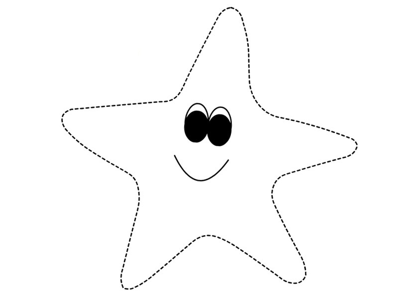 Estrella de mar #3974