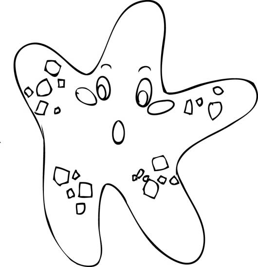 Estrella de mar #3999