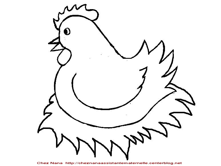 Gallina #4007