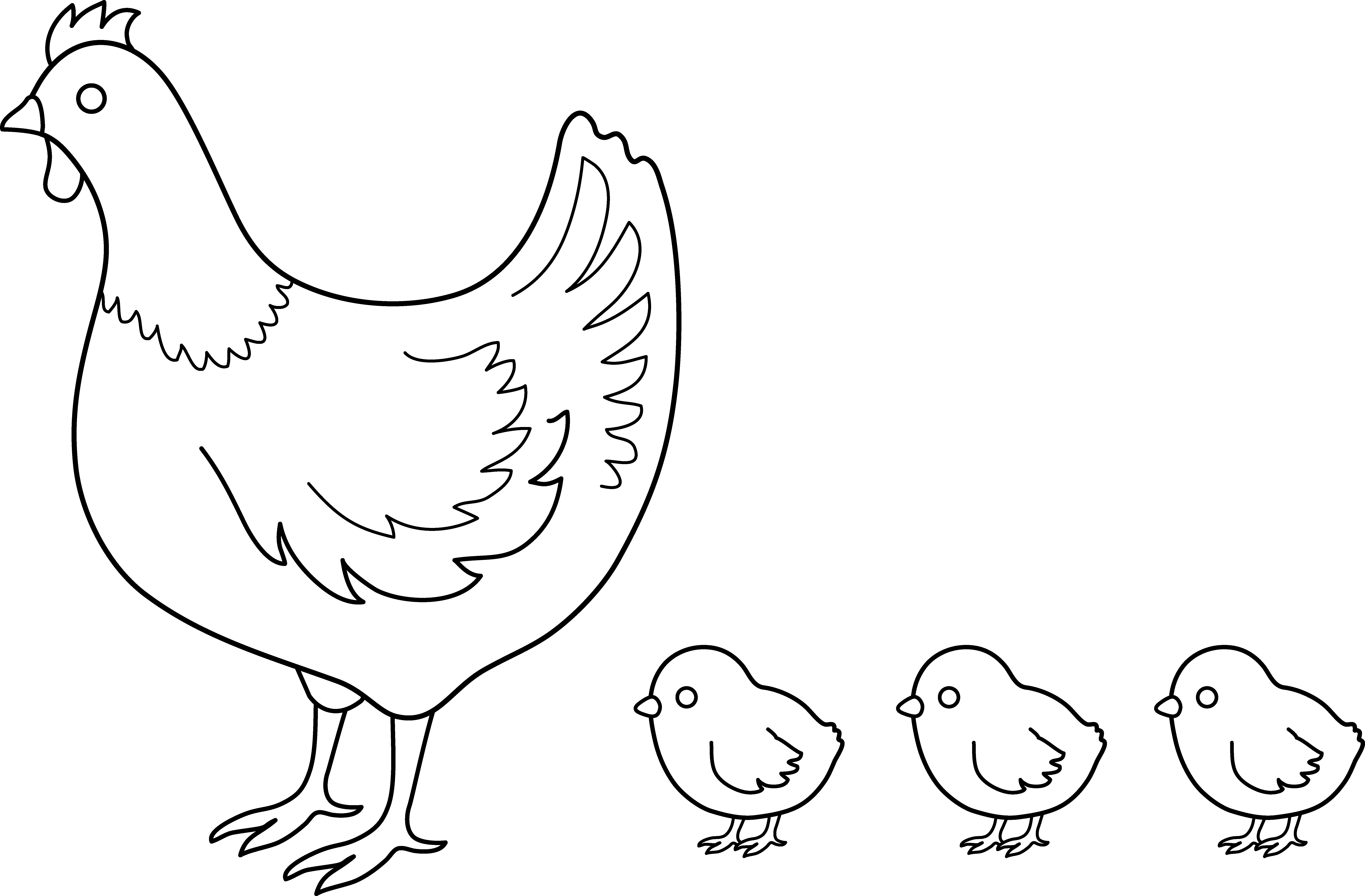 Gallina #4009