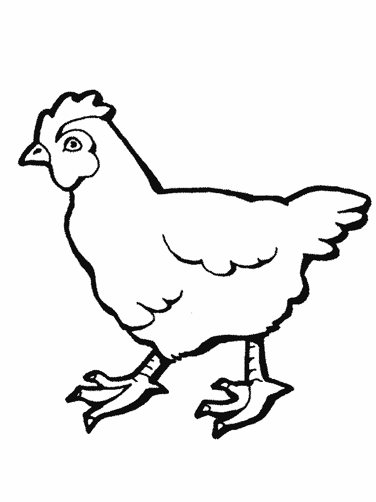 Gallina #4010