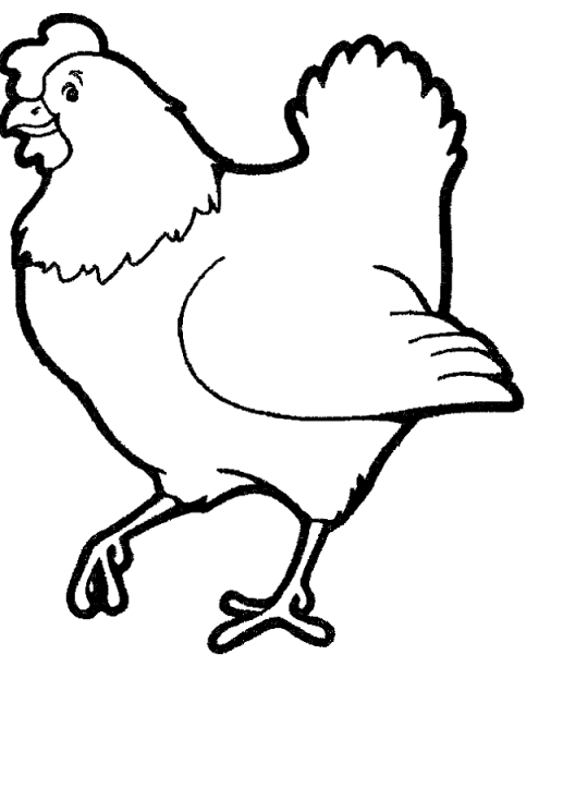 Gallina #4011