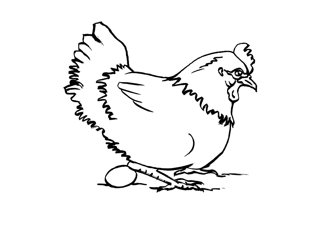Gallina #4013