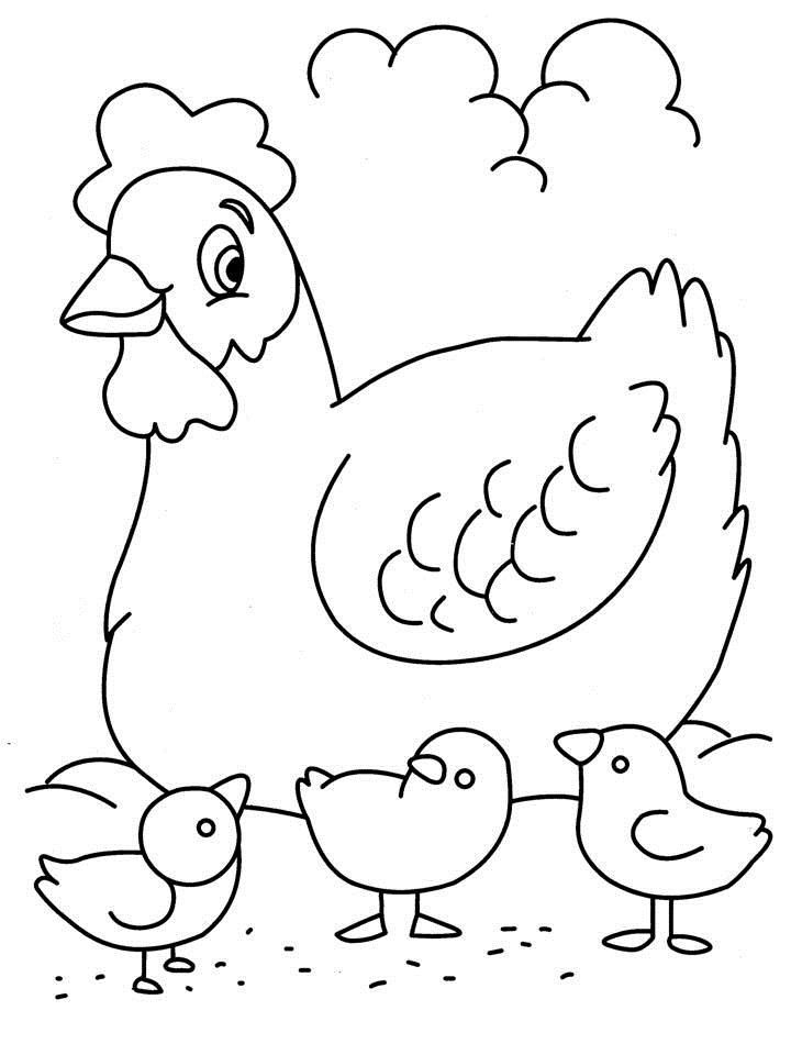 Gallina #4015