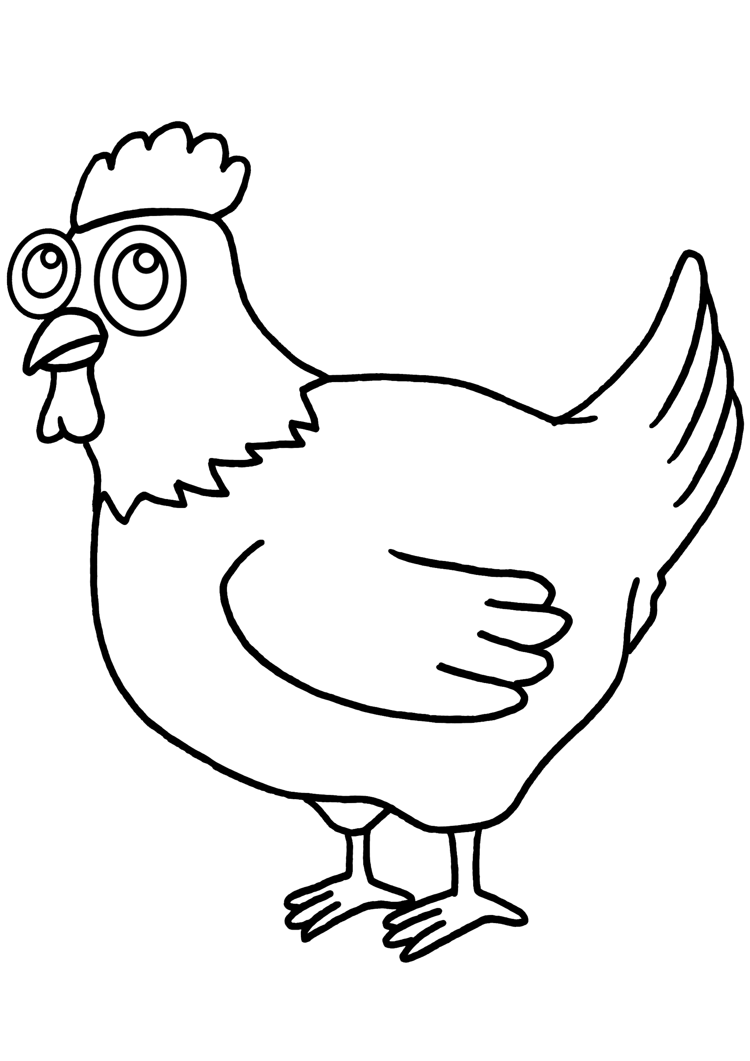 Gallina #4016