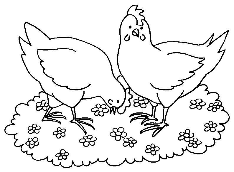 Gallina #4018