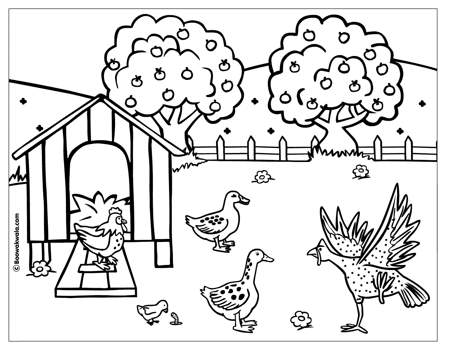 Gallina #4023
