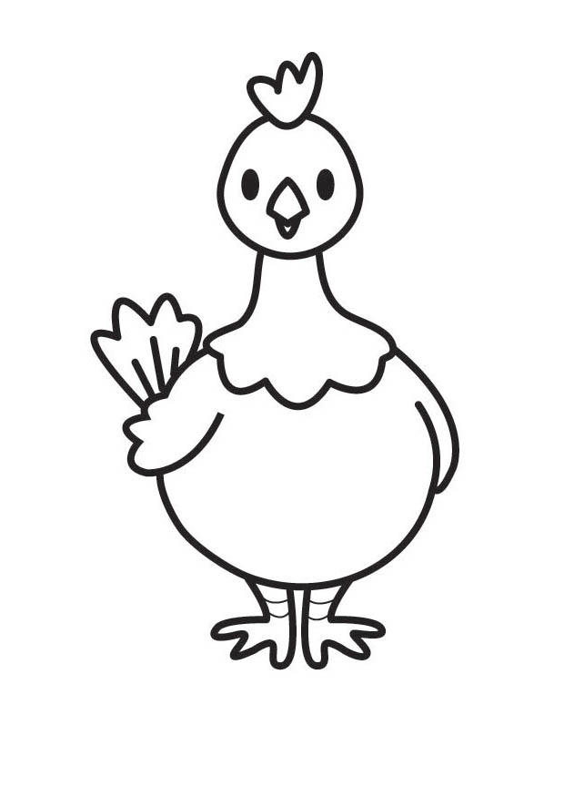 Gallina #4028