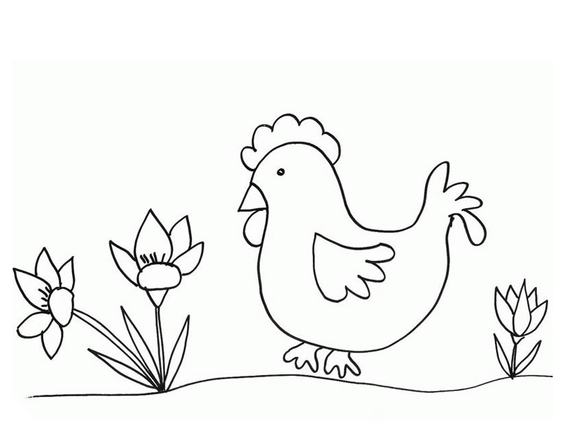 Gallina #4030
