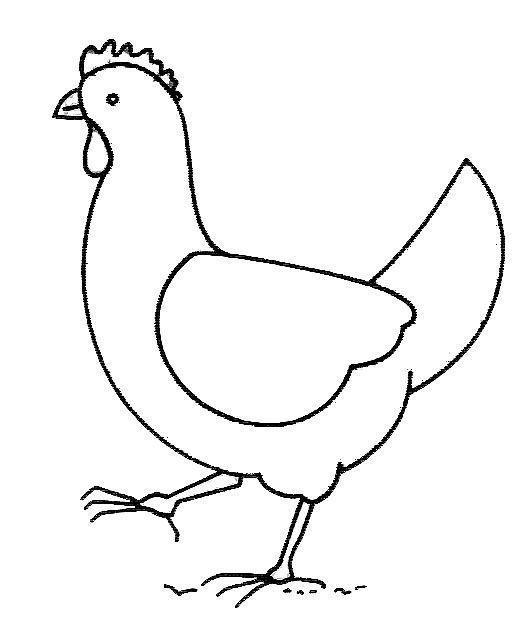 Gallina #4034