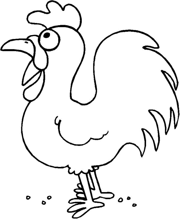 Gallina #4047
