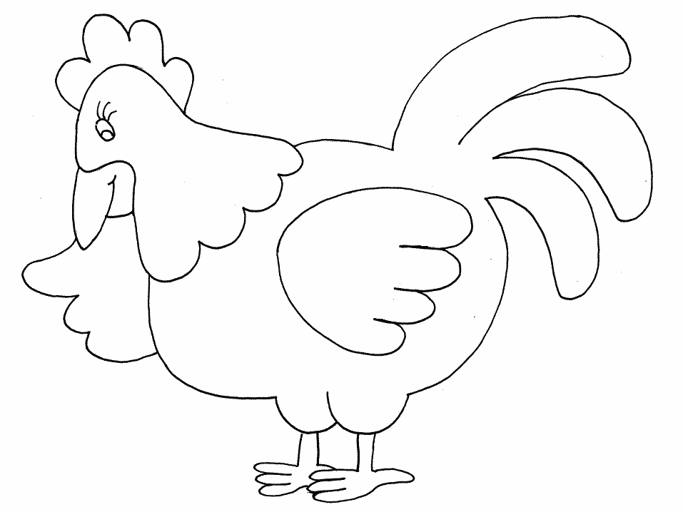Gallina #4049