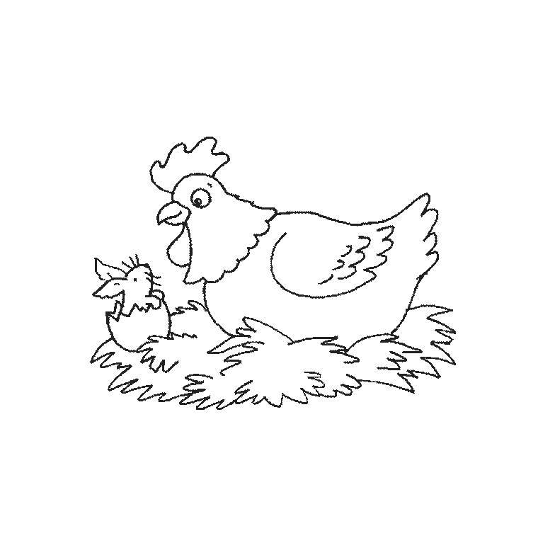 Gallina #4050