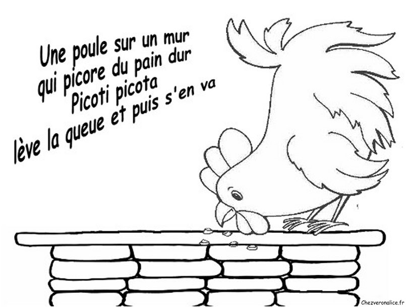 Gallina #4053