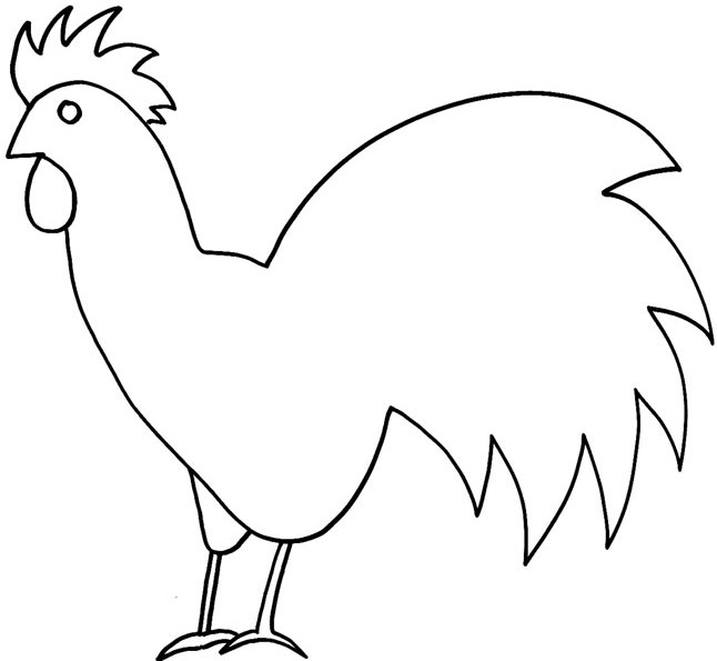 Gallina #4055