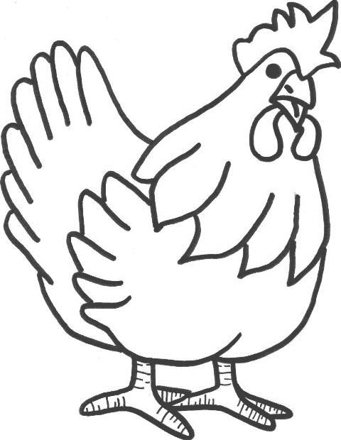 Gallina #4057