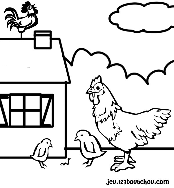 Gallina #4064