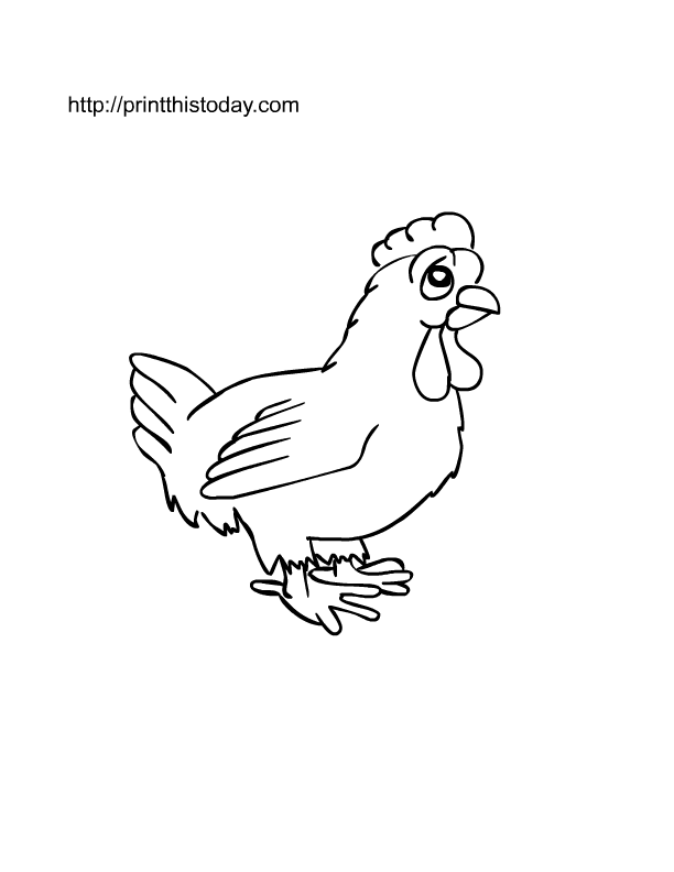 Gallina #4066