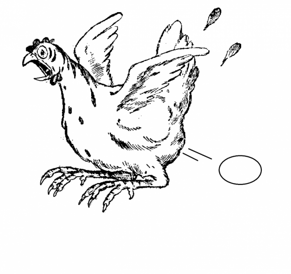 Gallina #4075