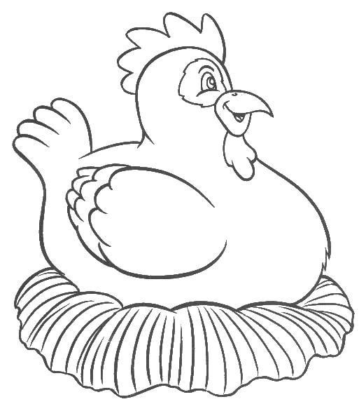 Gallina #4076