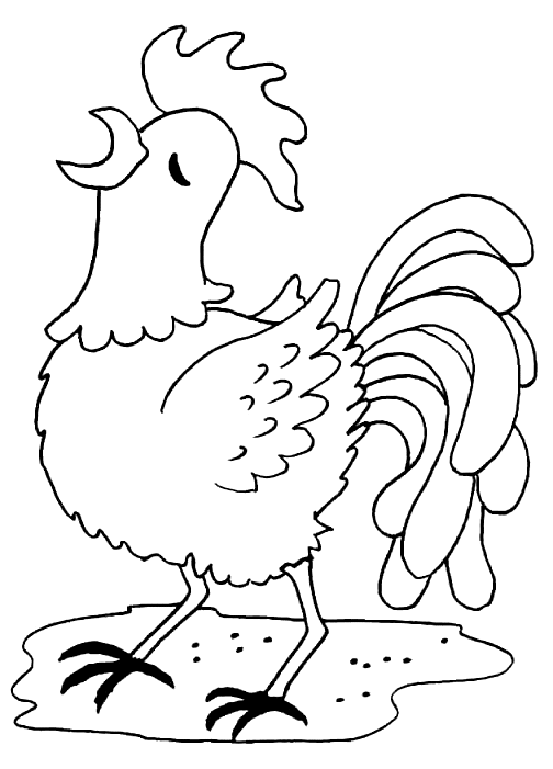 Gallina #4077
